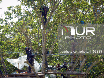 Members of the CNAMO unit try to convince 'Ecureuil' to stop their occupation of Zineb, an old walnut tree. For the fourth day, Gendarmerie...