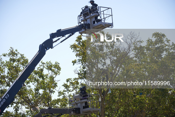 Four members of the CNAMO unit approach with a basket to stop their occupation of Zineb, an old walnut tree. For the fourth day, Gendarmerie...