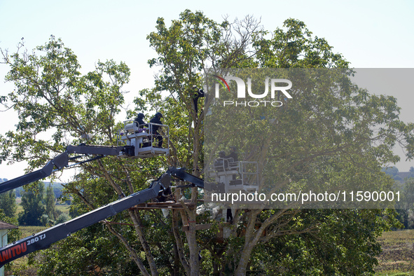 Four members of the CNAMO unit approach with a basket to stop their occupation of Zineb, an old walnut tree. For the fourth day, Gendarmerie...