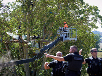 Gendarmes gesture while a tree logger begins to cut branches of an old walnut tree called Zineb by 'ecureuils' (i.e., squirrels). The tree l...