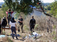 Zadists look at an alod ash tree which will be cut as the 'ecureuil' (i.e., squirrel) living in it has been arrested by Canmo policemen. Can...