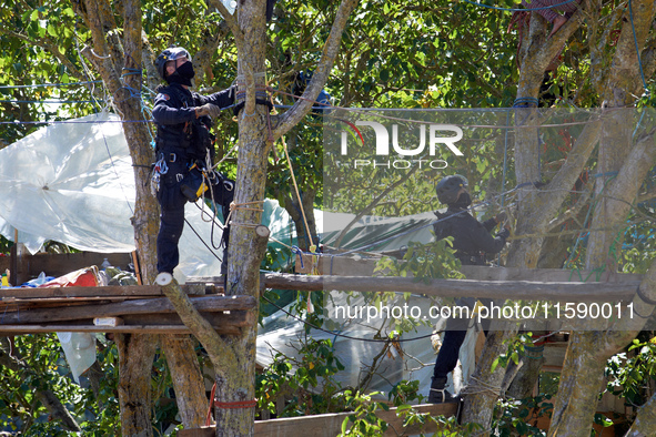 Two members of the CNAMO, a police special unit, are in Zineb, an old walnut tree in the 'Verger' ZAD, to dislodge 'squirrels' who slow down...