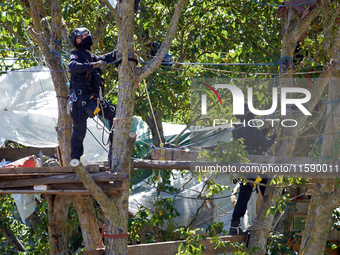 Two members of the CNAMO, a police special unit, are in Zineb, an old walnut tree in the 'Verger' ZAD, to dislodge 'squirrels' who slow down...