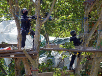 Two members of the CNAMO, a police special unit, are in Zineb, an old walnut tree in the 'Verger' ZAD, to dislodge 'squirrels' who slow down...