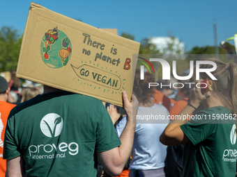 Protesters march during the global climate strike organized by Fridays for Future in Berlin, Germany, on September 20, 2024 (