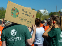 Protesters march during the global climate strike organized by Fridays for Future in Berlin, Germany, on September 20, 2024 (