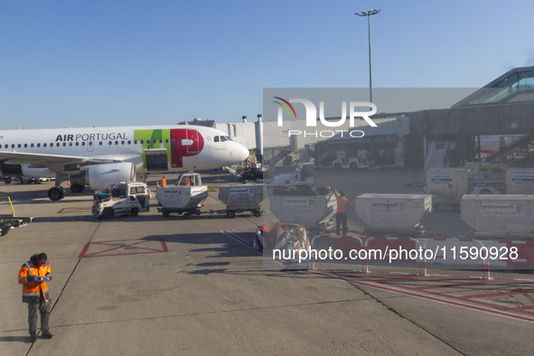 Airport workers are on land at Orly Airport in Paris, France, on September 15, 2024. Airports Council International (ACI) World releases its...