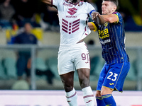 Duvan Zapata of Torino FC and Giangiacomo Magnani of Hellas Verona compete for the ball during the Serie A Enilive match between Hellas Vero...