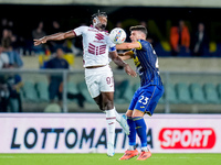 Duvan Zapata of Torino FC and Giangiacomo Magnani of Hellas Verona compete for the ball during the Serie A Enilive match between Hellas Vero...