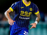 Grigoris Kastanos of Hellas Verona looks on during the Serie A Enilive match between Hellas Verona and Torino FC at Stadio Marcantonio Bente...