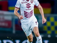 Sebastian Walukiewicz of Torino FC during the Serie A Enilive match between Hellas Verona and Torino FC at Stadio Marcantonio Bentegodi on S...