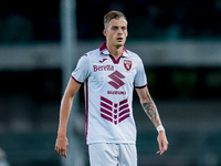 Ivan Ilic of Torino FC looks on during the Serie A Enilive match between Hellas Verona and Torino FC at Stadio Marcantonio Bentegodi on Sept...