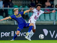 Valentino Lazaro of Torino FC and Martin Frese of Hellas Verona compete for the ball during the Serie A Enilive match between Hellas Verona...