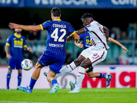 Duvan Zapata of Torino FC and Diego Coppola of Hellas Verona during the Serie A Enilive match between Hellas Verona and Torino FC at Stadio...