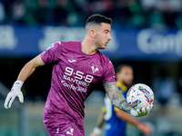 Lorenzo Montipo' of Hellas Verona during the Serie A Enilive match between Hellas Verona and Torino FC at Stadio Marcantonio Bentegodi on Se...