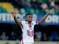 Duvan Zapata of Torino FC gestures during the Serie A Enilive match between Hellas Verona and Torino FC at Stadio Marcantonio Bentegodi on S...