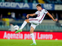 Gvidas Gineitis of Torino FC during the Serie A Enilive match between Hellas Verona and Torino FC at Stadio Marcantonio Bentegodi on Septemb...