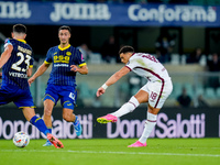 Che' Adams of Torino FC scores third goal during the Serie A Enilive match between Hellas Verona and Torino FC at Stadio Marcantonio Bentego...