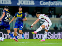 Che' Adams of Torino FC scores third goal during the Serie A Enilive match between Hellas Verona and Torino FC at Stadio Marcantonio Bentego...