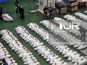 An early morning tuna auction takes place at Toyosu Market in Tokyo, Japan, on September 22, 2023. On September 20, 2024, according to the o...