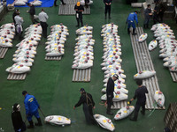 An early morning tuna auction takes place at Toyosu Market in Tokyo, Japan, on September 22, 2023. On September 20, 2024, according to the o...