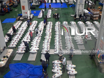 An early morning tuna auction takes place at Toyosu Market in Tokyo, Japan, on September 22, 2023. On September 20, 2024, according to the o...