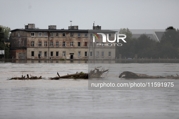 Flooded areas of the city during the flooding of the Odra River in Brzeg, Poland, on September 19, 2023. For several days, flood alerts are...