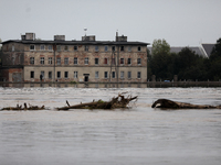 Flooded areas of the city during the flooding of the Odra River in Brzeg, Poland, on September 19, 2023. For several days, flood alerts are...