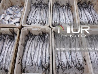 A photo taken on September 14, 2024, shows seafood at Jimiya fishing port in Qingdao, China, on September 14, 2024. On September 20, 2024, C...