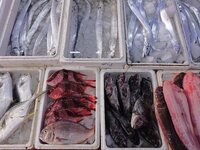 A photo taken on September 14, 2024, shows seafood at Jimiya fishing port in Qingdao, China, on September 14, 2024. On September 20, 2024, C...