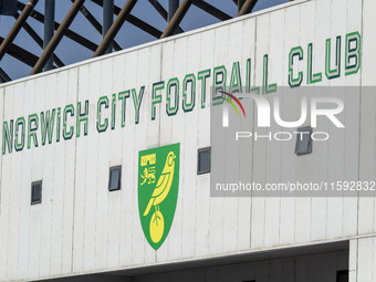 A general view of the Norwich City Football Club logo before the Sky Bet Championship match between Norwich City and Watford at Carrow Road...