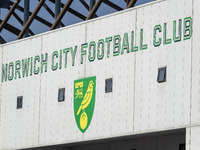 A general view of the Norwich City Football Club logo before the Sky Bet Championship match between Norwich City and Watford at Carrow Road...