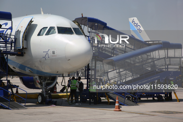 IndiGo Airlines airplanes are at Indira Gandhi International Airport (Delhi Airport) in Delhi, India, on April 24, 2024. 