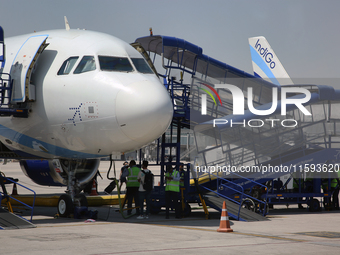 IndiGo Airlines airplanes are at Indira Gandhi International Airport (Delhi Airport) in Delhi, India, on April 24, 2024. (