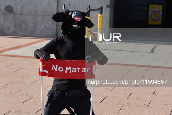 A demonstration for the abolition of bullfighting takes place in Madrid, Spain, on September 21, 2024. 