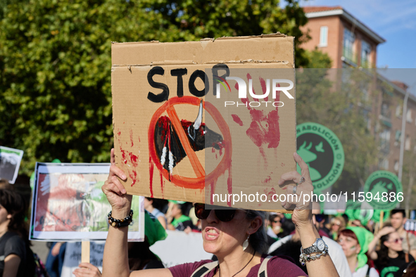 A demonstration for the abolition of bullfighting takes place in Madrid, Spain, on September 21, 2024. 