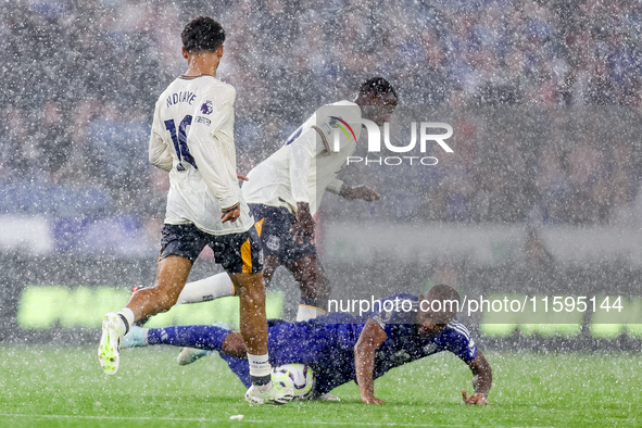 #18, Jordan Ayew of Leicester City fights for possession at the feet of #10, Ilman Ndiaye of Everton during the Premier League match between...