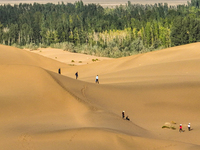 Tourists climb the sand peak to view the scenery of the desert oasis at Jinshawan Desert tourism holiday camp in Zhangye, China, on Septembe...