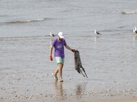 A volunteer collects waste and garbage during a beach cleanup day in the municipality of Alges, Lisbon, Portugal, on September 21, 2024. The...