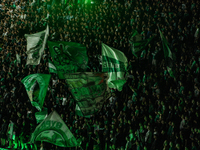 Panathinaikos fans at the Panathenaic Stadium during the Pavlos Giannakopoulos friendly basketball tournament in Athens, Greece, on Septembe...