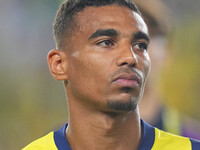 Alexander Djiku of Fenerbahce  looks on during the Turkey Süper Ligue Round 5 between Fenerbahçe SK vs Galatasaray S.K., on September 21, 20...