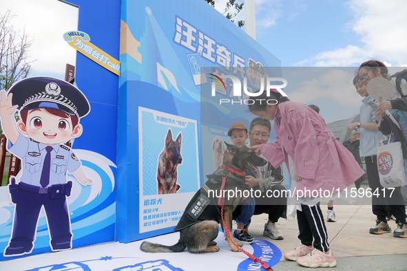 Citizens get close to police dogs at the police camp Open Day in Yantai, China, on September 21, 2024. 