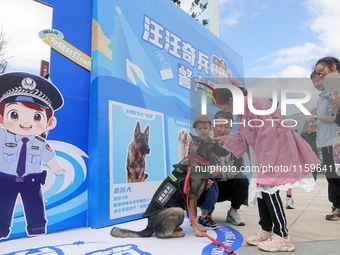 Citizens get close to police dogs at the police camp Open Day in Yantai, China, on September 21, 2024. (