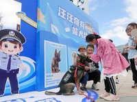 Citizens get close to police dogs at the police camp Open Day in Yantai, China, on September 21, 2024. (