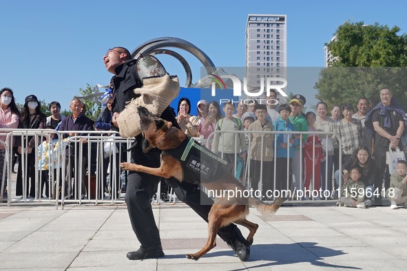 Citizens watch a police dog attack performance during the opening day of the police camp of Yantai Public Security Bureau in Yantai, China,...