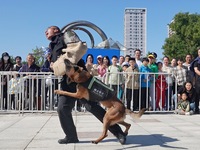 Citizens watch a police dog attack performance during the opening day of the police camp of Yantai Public Security Bureau in Yantai, China,...