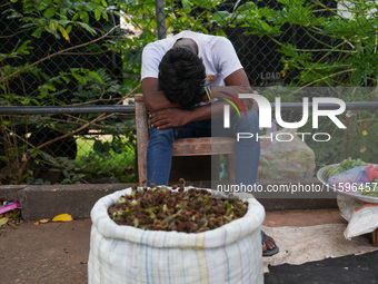 A vendor sleeps during the curfew in Colombo, Sri Lanka, on September 22, 2024. The curfew is imposed in Sri Lanka amid the counting of vote...