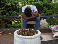 A vendor sleeps during the curfew in Colombo, Sri Lanka, on September 22, 2024. The curfew is imposed in Sri Lanka amid the counting of vote...