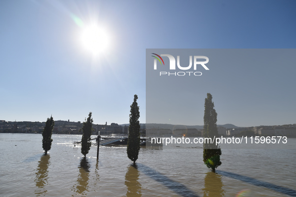 Trees are underwater on the bank of the Danube in Budapest, Hungary, as the peak water levels of the Danube are expected to hit today. 