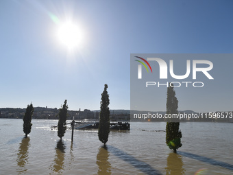 Trees are underwater on the bank of the Danube in Budapest, Hungary, as the peak water levels of the Danube are expected to hit today. (